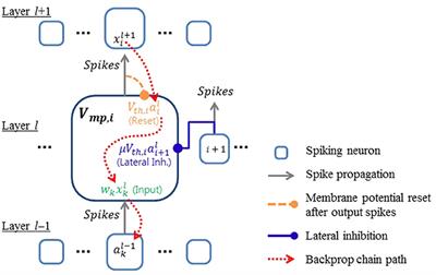 Deep spiking hot sale neural network